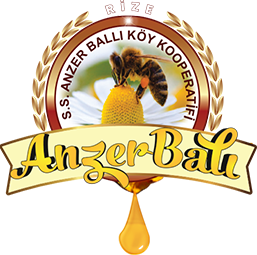 anzer bal kooperatifi logı