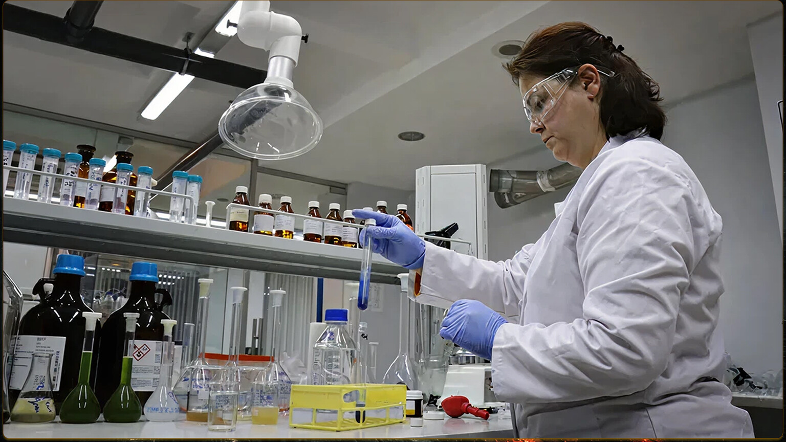 S.S ANZER BALLIKÖYÜ KOOPERATİFİ BAŞKANLIĞI