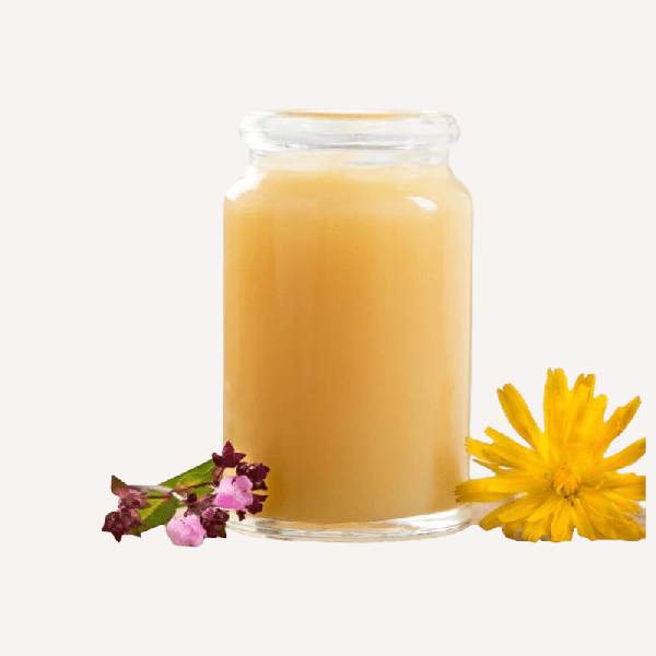 Saf Yerli Arı Sütü 10 gr, Anzer Balı Kooperatifi 2025 - 2026 - 2